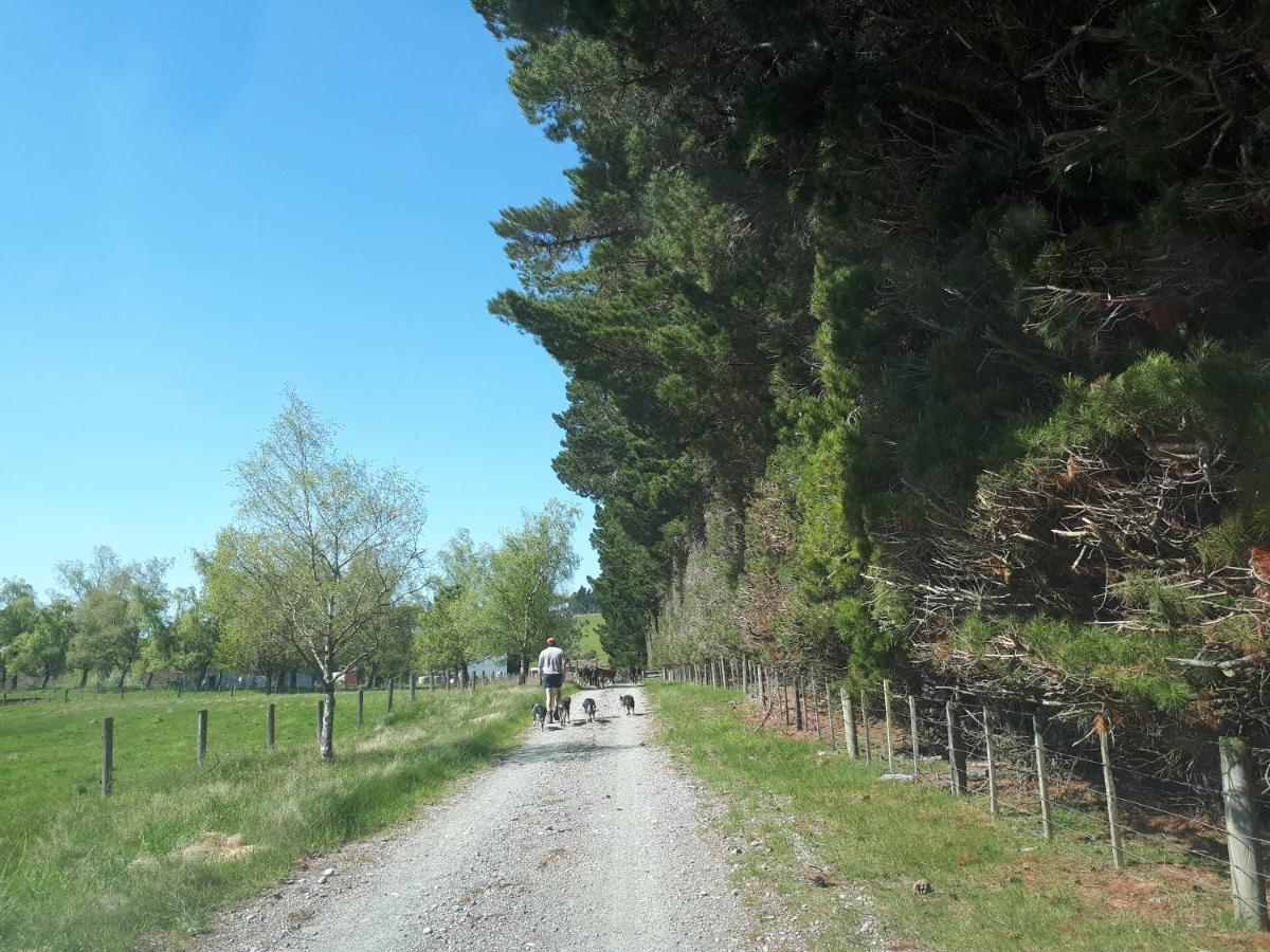 Te Anau Farm Cottage Dış mekan fotoğraf
